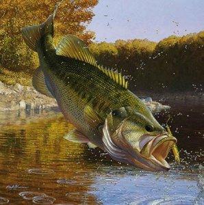 Pescuit :) - cartwheelingmso.jpg